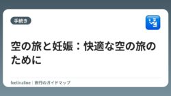 空の旅と妊娠：快適な空の旅のために