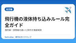 飛行機の液体持ち込みルール完全ガイド｜国内線・国際線の違いと例外を徹底解説