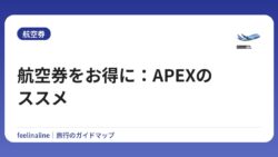 航空券をお得に：APEXのススメ