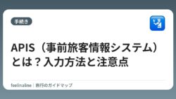 APIS（事前旅客情報システム）とは？入力方法と注意点