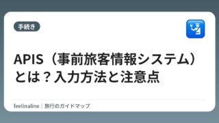 APIS（事前旅客情報システム）とは？入力方法と注意点
