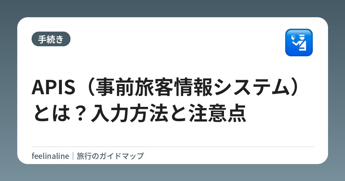 APIS（事前旅客情報システム）とは？入力方法と注意点