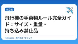 飛行機の手荷物ルール完全ガイド：サイズ・重量・持ち込み禁止品
