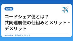 コードシェア便とは？共同運航便の仕組みとメリット・デメリット