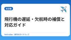 飛行機の遅延・欠航時の補償と対応ガイド