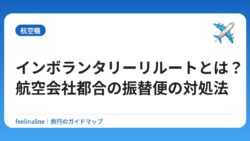 インボランタリーリルートとは？航空会社都合の振替便の対処法