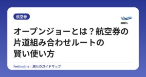 オープンジョーとは？航空券の片道組み合わせルートの賢い使い方