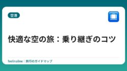 快適な空の旅：乗り継ぎのコツ