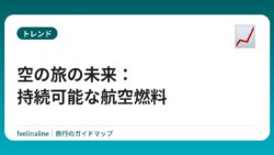 空の旅の未来：持続可能な航空燃料